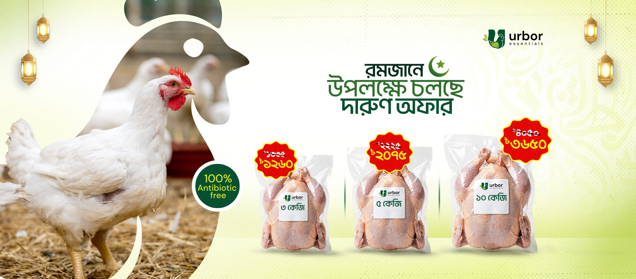 Premium antibiotic-free chicken